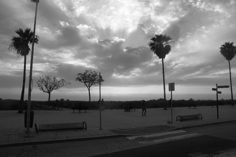 Conil de la Frontera